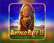 Buffalo Blitz II