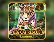 Big Cat Rescue Megaways